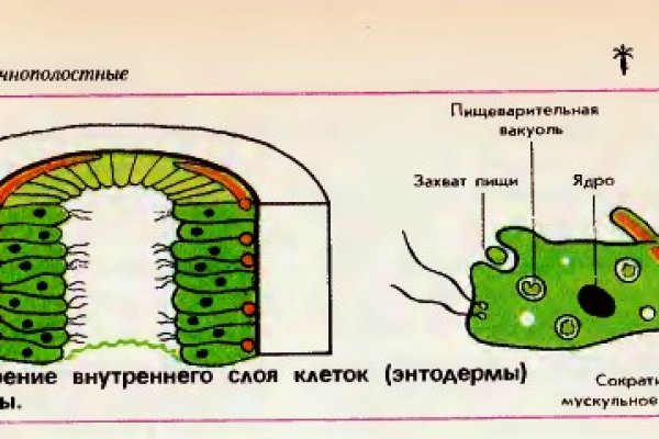 Кракен ссылка 2 веб