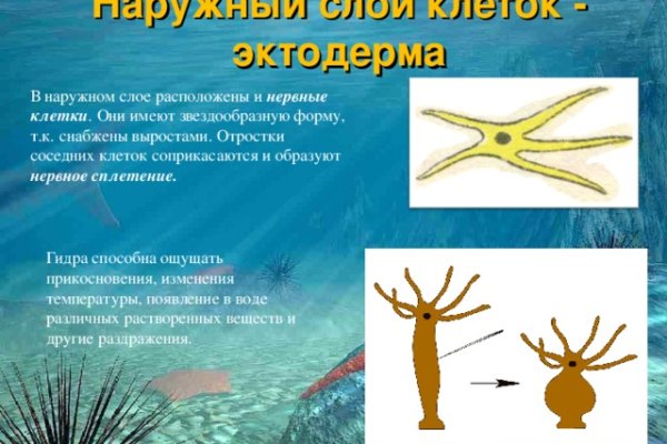 Кракен онион kraken014 com