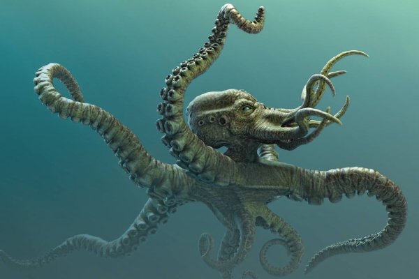 Kraken адрес